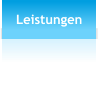 Leistungen