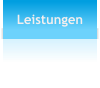 Leistungen